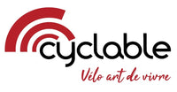 Icon 3